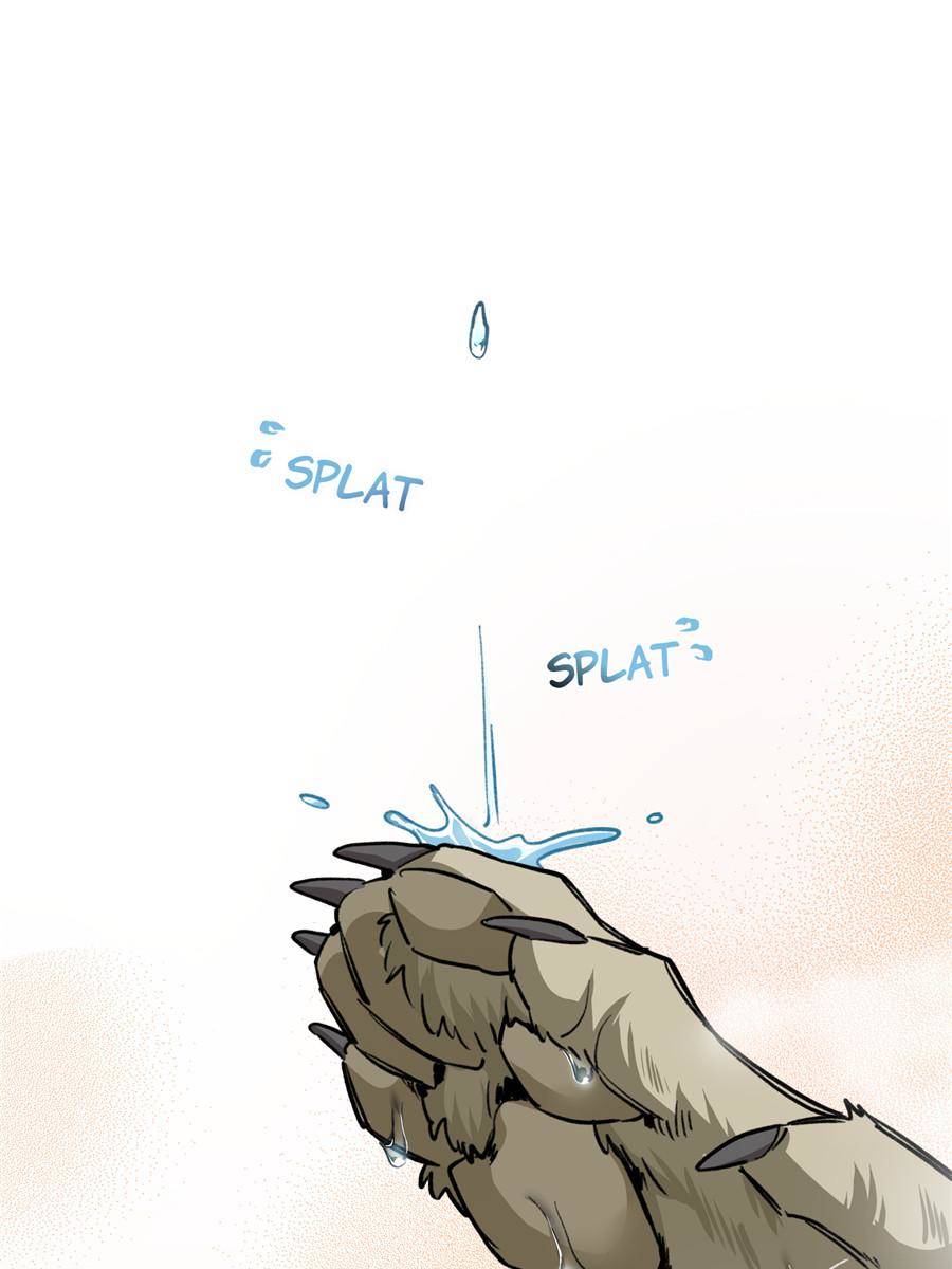 7. Let's just play dumb first 84 75870194 900 1200 63702